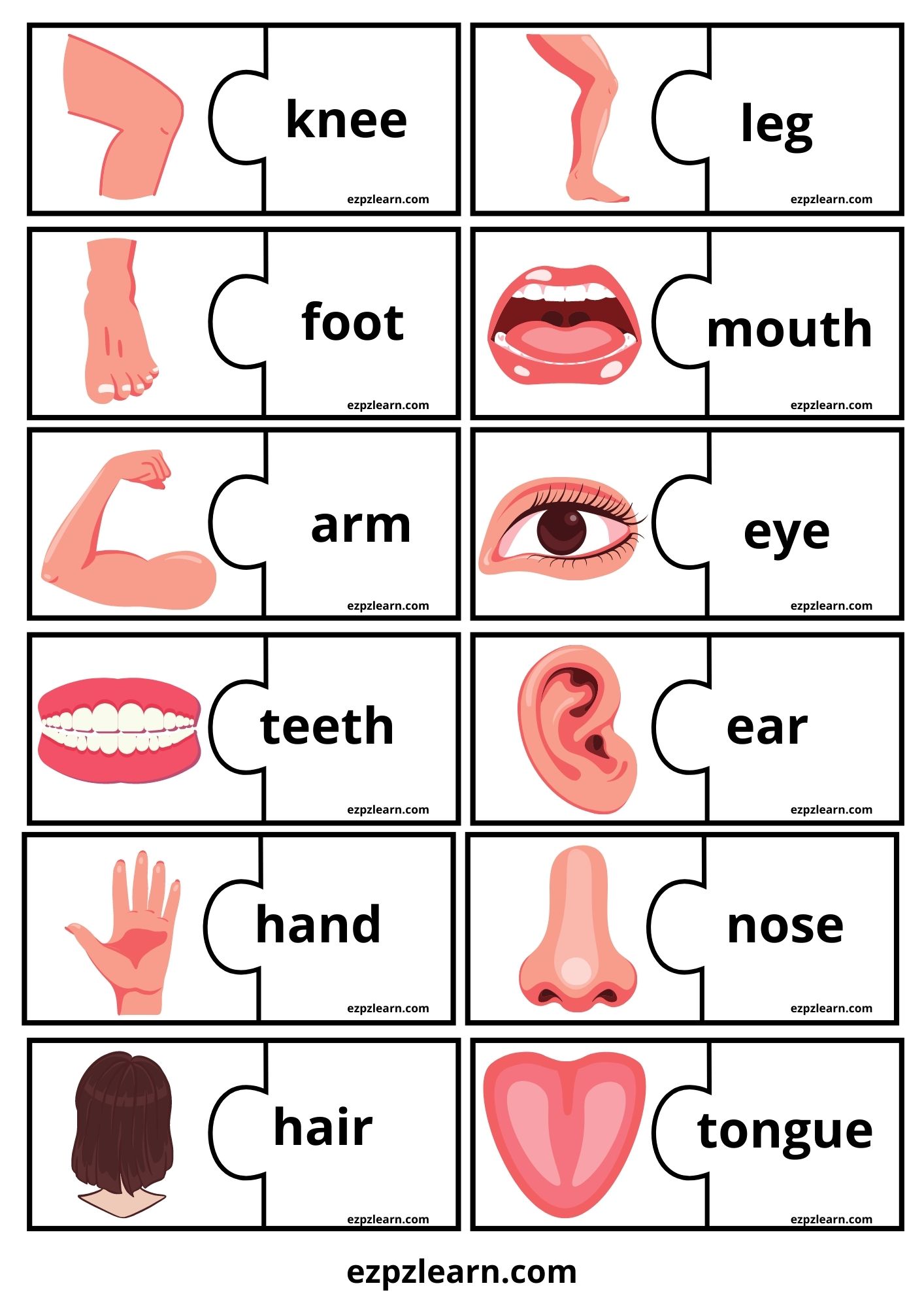 Body Word Match Game Ezpzlearn